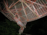 1 base in dish 2.jpg